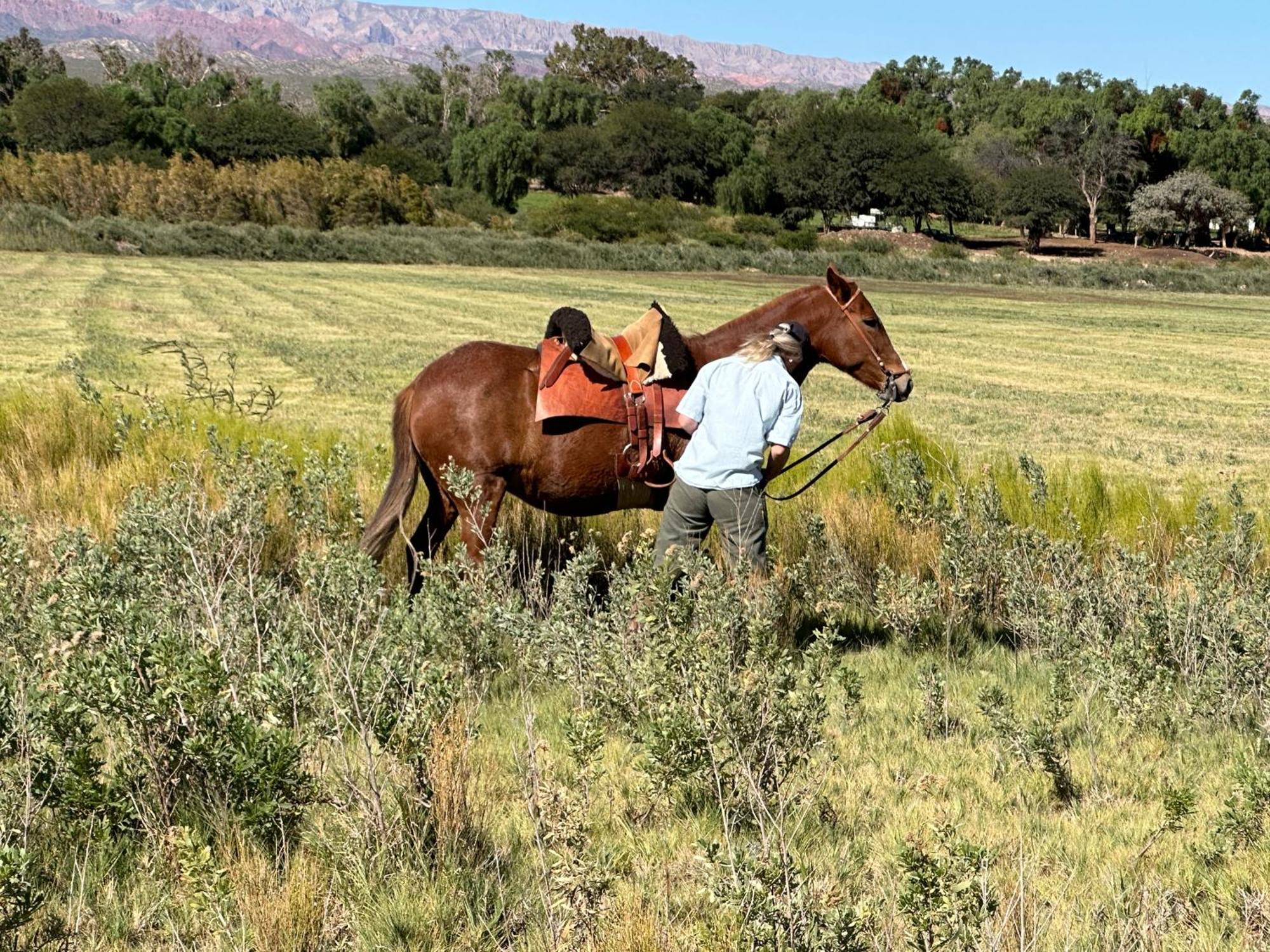 Estancia Banda Grande - Horse & Hiking Safaris Molinos Bagian luar foto