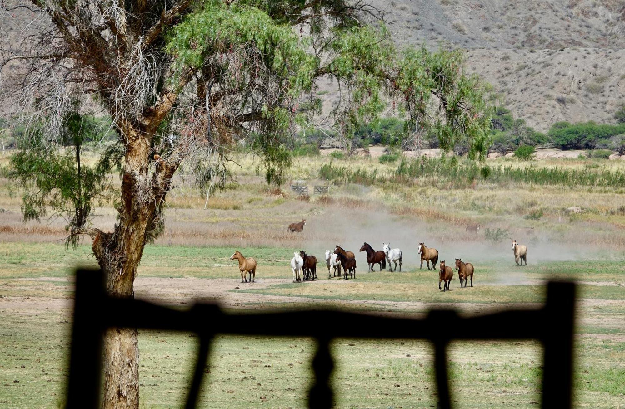 Estancia Banda Grande - Horse & Hiking Safaris Molinos Bagian luar foto