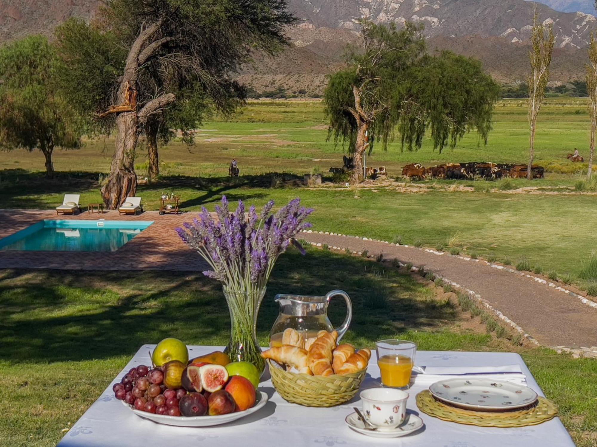 Estancia Banda Grande - Horse & Hiking Safaris Molinos Bagian luar foto